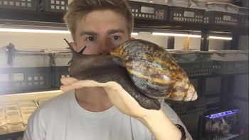 Seorang pria di Eropa bernama Adrian Kozakiewicz, melalui akun YouTube InsecthausTV memperkenalkan peliharaannya yakni bekicot. Foto: Bored Panda