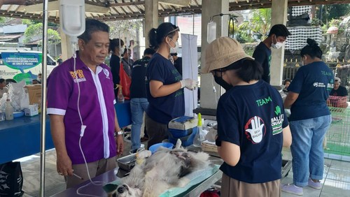 Dinas Pertanian dan Peternakan Klungkung menggencarkan pencegahan rabies dengan vaksinasi dan sterilisasi atau kebiri hewan penular rabies (HPR).