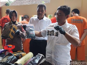 Bongkar Jaringan Pengedar Jogja-Medan, Polda DIY Sita Hampir 17 Kg Ganja