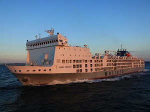 Ekspor Sapi Australia ke Amerika Selatan Sedang Meningkat Pesat