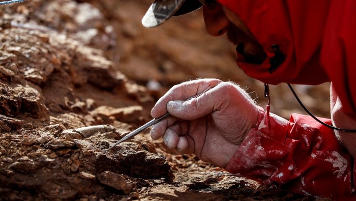 A paleontologist works at the place where the fossilized bones of the 'Gonkoken nanoi' were found, a newly identified duck-billed dinosaur, that inhabited the Chilean Patagonian area, at El valle del rio de las Chinas, near Torres del Paine, Magallanes and Antarctic region, Chile, in this undated handout photo obtained by Reuters on June 15, 2023. Universidad de Chile/ Handout via REUTERS THIS IMAGE HAS BEEN SUPPLIED BY A THIRD PARTY. MANDATORY CREDIT. NO RESALES. NO ARCHIVES
