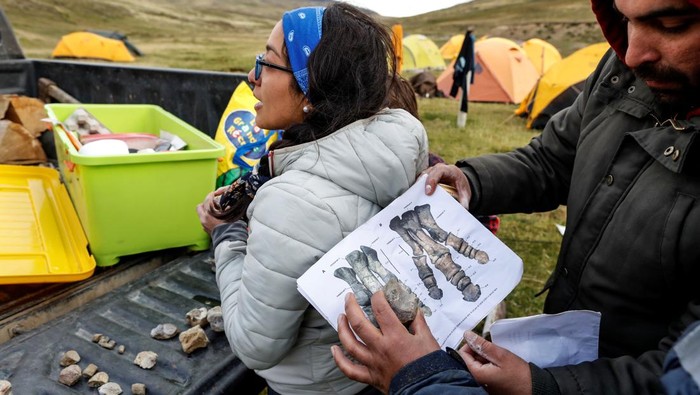 A paleontologist works at the place where the fossilized bones of the Gonkoken nanoi were found, a newly identified duck-billed dinosaur, that inhabited the Chilean Patagonian area, at El valle del rio de las Chinas, near Torres del Paine, Magallanes and Antarctic region, Chile, in this undated handout photo obtained by Reuters on June 15, 2023. Universidad de Chile/ Handout via REUTERS THIS IMAGE HAS BEEN SUPPLIED BY A THIRD PARTY. MANDATORY CREDIT. NO RESALES. NO ARCHIVES