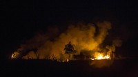 Asap juga mengepul dari lahan yang terbakar. 