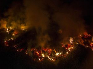 Penampakan Kobaran Api Lahap Lahan Gambut di Kalsel