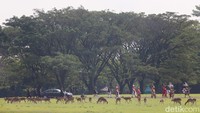 Kaisar Naruhito dan Permaisuri Masako tiba di Kompleks Istana Bogor, sekitar pukul 10.00 WIB, Senin (19/6/2023).  