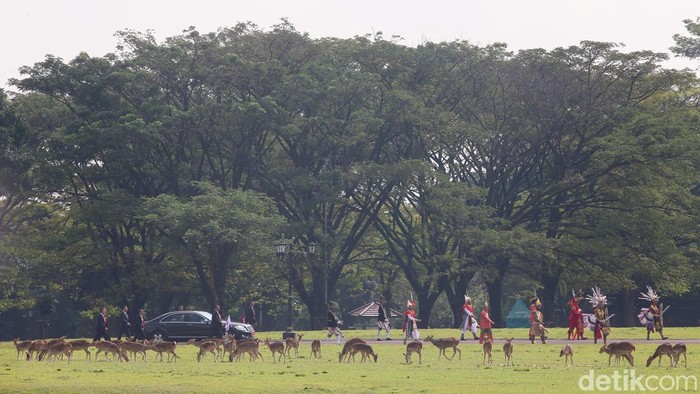 Momen Jokowi Terima Kunjungan Kaisar dan Permaisuri Jepang di Istana Bogor Presiden RI Joko Widodo bersama Ibu Negara Iriana Widodo menyambut kedatangan Kaisar Jepang Hironomiya Naruhito yang didampingi oleh Permaisuri Masako di Istana Bogor, Senin (19/6/2023).
