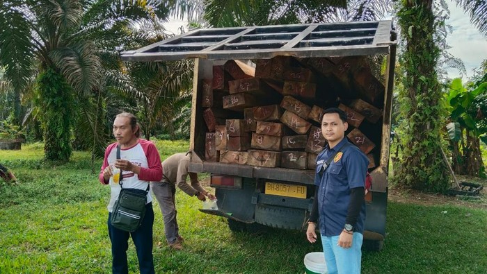 Polisi menangkap truk mengangkut kayu diduga hasil pembalakan liar di Merangin, Jambi.