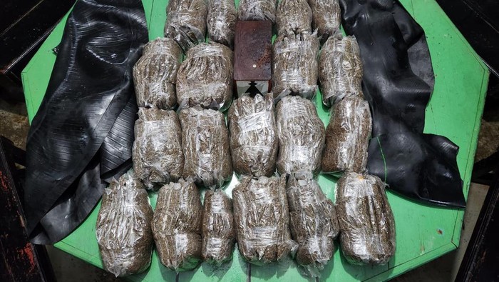 Penemuan narkoba jenis ganja di perbatasan Indonesia-Papua New Guinea (PNG).