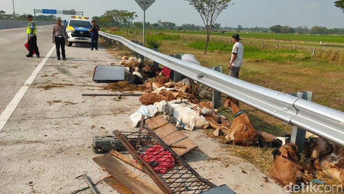 Pikap muat kambing terguling di Tol Ngawi