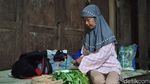 Potret Kampung Mati di Tengah Hutan Jogja