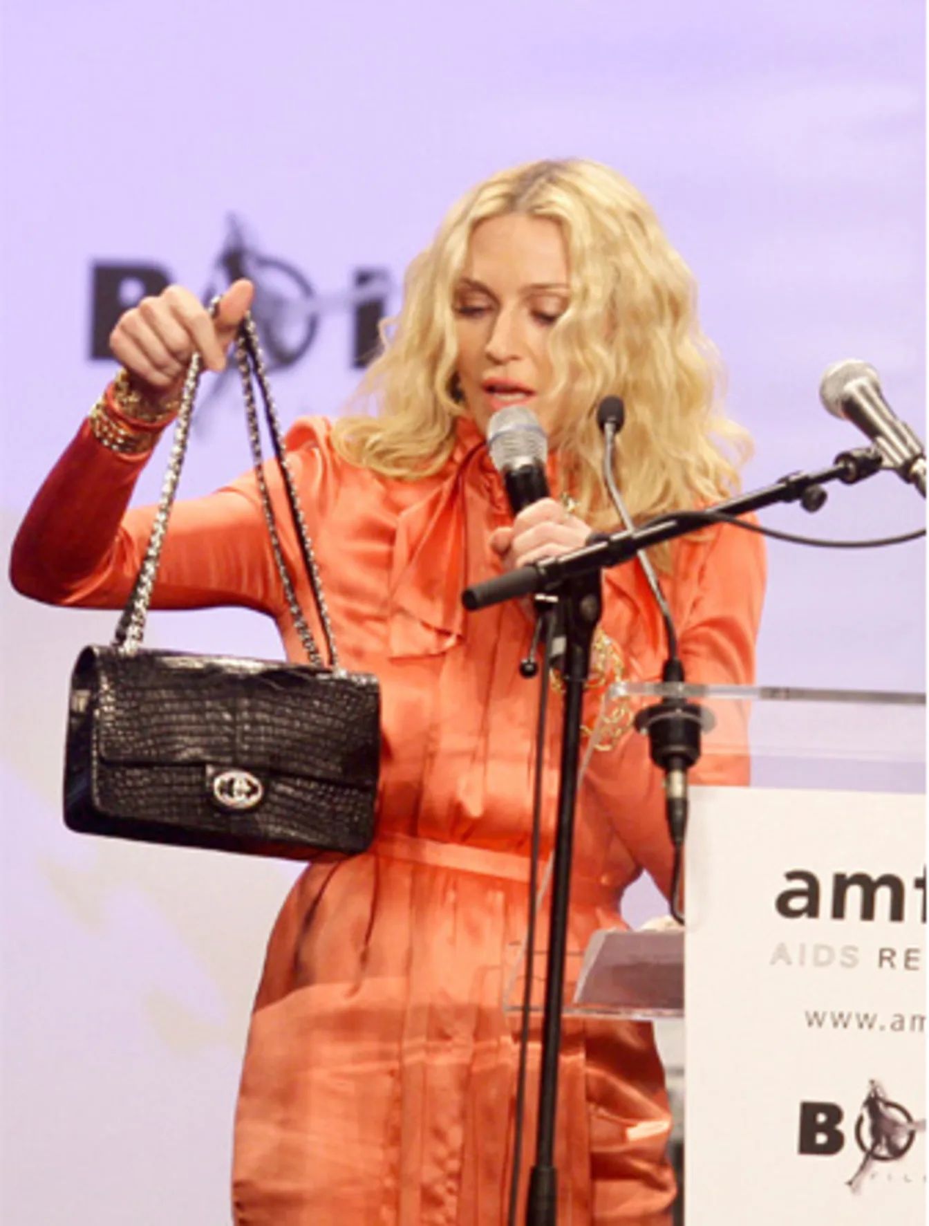 Contoh potret tas mewah.