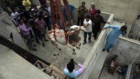 Penurunan sapi untuk kurban itu menggunakan alat berat seperti crane. 