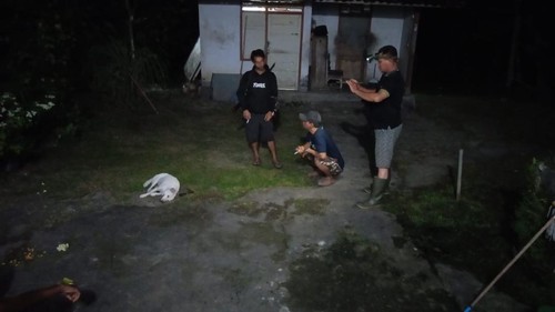 Seekor anjing milik warga di Desa Pohsanten, Kecamatan Mendoyo, Kabupaten Jembrana, Bali, menyerang sejumlah hewan peliharaan warga secara tiba-tiba.