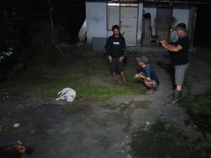 Anjing Milik Warga di Jembrana Mengamuk, Bunuh Kucing-Ayam