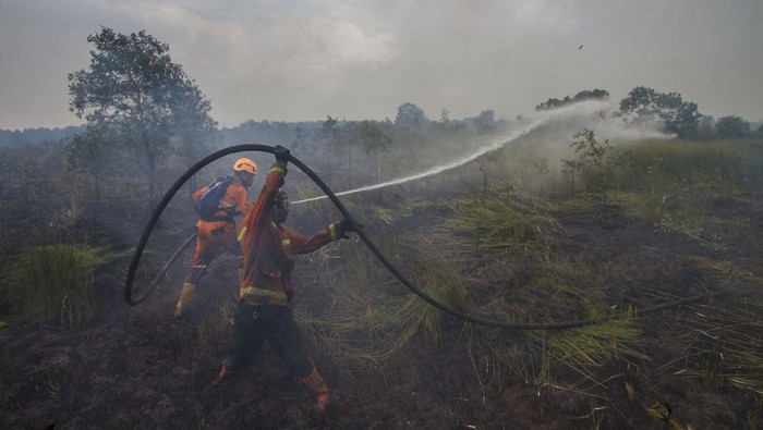 Petugas Badan Penanggulangan Bencana Daerah (BPBD) Kalsel berupaya memadamkan api yang membakar lahan gambut di Landasan Ulin, Banjarbaru, Kalimantan Selatan, Senin (19/6/2023). Tim gabungan BPBD, Manggala Agni dan damkar swasta masih terus melakukan upaya untuk memadamkan api kebakaran lahan gambut yang terus meluas di area ring satu kawasan Bandara Internasional Syamsudin Noor. ANTARA FOTO/Bayu Pratama S/tom.