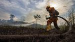 Berjibaku Padamkan Kebakaran Hutan dan Lahan di Kalimantan Selatan