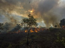 73 Titik Rawan Kebakaran Hutan di Kalsel dalam Pantauan Sistem