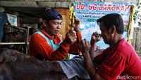 Kegiatan salon sapi itu dilakukan agar hewan kurban terlihat bersih dan menarik.  