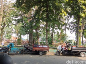 Monyet Serang 2 Anak di Surabaya Diduga Peliharaan Tapi Sering Berkeliaran