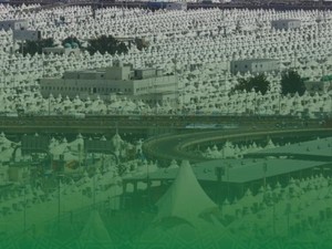 Ribuan Jemaah Haji RI Ikut Tarwiyah, Ini Peran yang Akan Dilakukan Pemerintah