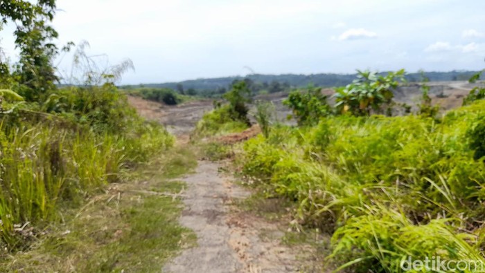 Jalan milik Provinsi Bengkulu yang sempat viral karena dirusak perusahaan tambang batu bara bikin Kejaksaan Tinggi Bengkulu geram
