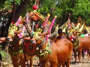 Jadwal Event Sumenep Agustus 2025, Festival Budaya dan Hiburan Menarik