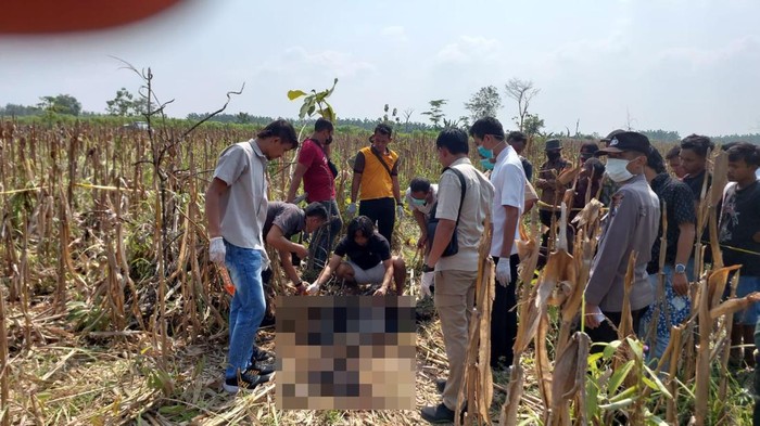 Mayat wanita tinggal kerangka di Lahan Jagung Ngawi.