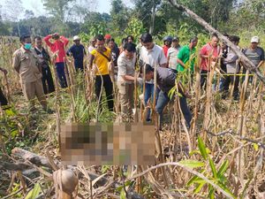 Kerangka Wanita Ditemukan di Ladang Jagung Ngawi, Diduga Korban Pembunuhan