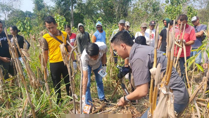 Pembunuhan di Ngawi
