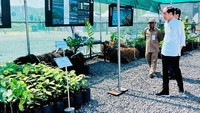 Amman Mineral nantinya akan memiliki kapasitas produksi 900.000 ton konsentrat. Oleh karena itu, Jokowi berharap agar industrialisasi juga bisa dilakukan pada turunan dari katoda tembaga yang dihasilkan agar memberi nilai tambah dan lapangan kerja sebanyak-banyaknya.  