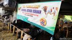 Lokasi Penjualan Hewan Kurban Jadi Wisata Dadakan Bocil