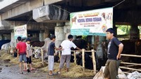 Menjelang siang, warga di kawasan kolong tol berdatangan untuk melihat hewan kurban.  