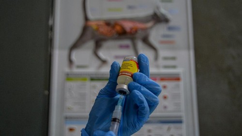 Waspadai penyakit rabies, Dinas Ketahanan Pangan dan Pertanian (DKPP) Kota Bandung melakukan vaksinasi pada seluruh hewan yang berpotensi.