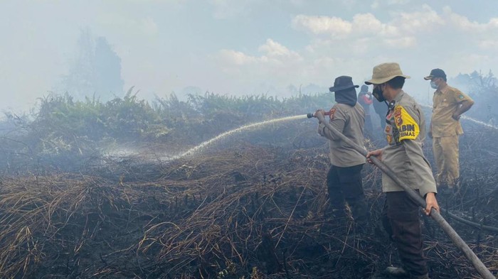 Petugas memadamkan api di lahan terbakar wilayah Rokan Hulu