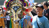Selain itu ajang ini juga sebagai ajang pemasaran hewan kurban jelang Hari Raya Idul Adha 1444 H.   