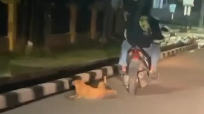 Tangkapan layar video viral anjing diikat dan diseret dengan motor di Jambi.