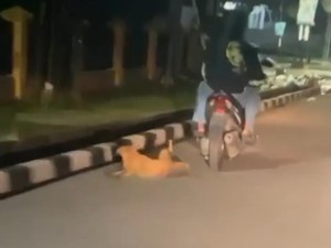 Aksi Pemotor Seret Anjing Berujung Diburu Pencinta Hewan-Polisi