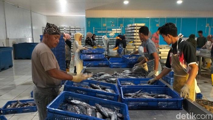 Aktivitas di tempat pembekuan ikan di Lampulo, Banda Aceh. (Agus Setyadi/detikSumut)