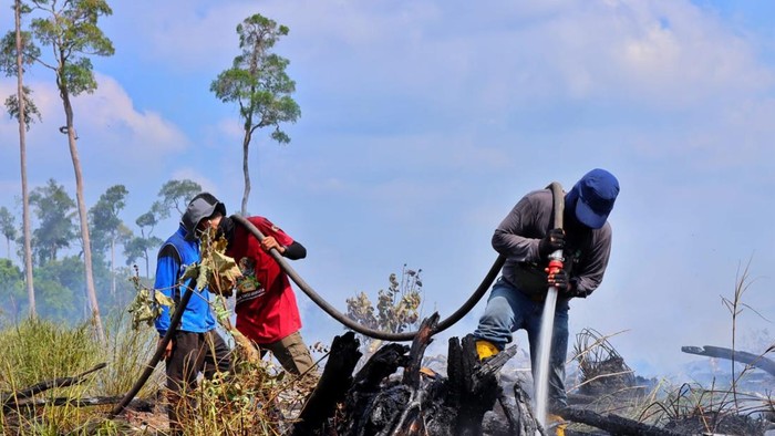 Cagar Biosfer GSK di Bangkalis terbakar (Foto: Dok BKSDA Riau)