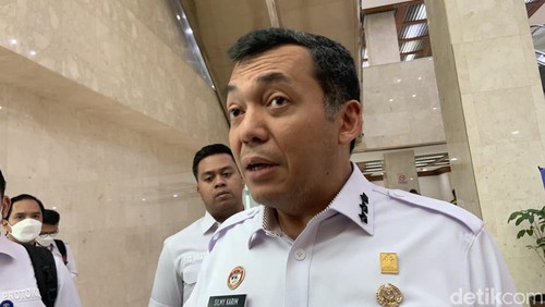 Dirjen Imigrasi Kemenkumham Silmy Karim (Dwi Rahmawati/detikcom)