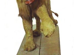 Deretan Foto Jadul Punya Cerita Aneh hingga Mencengangkan