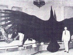 Deretan Foto Jadul Punya Cerita Aneh hingga Mencengangkan