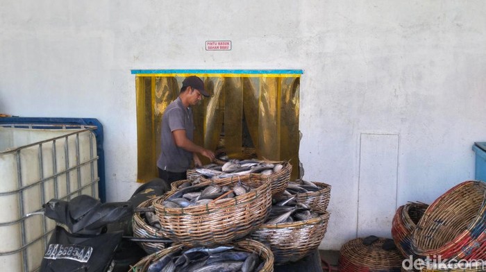 Ikan tuna asal Aceh yang tembus pasar internasional. (Agus Setyadi/detikSumut)