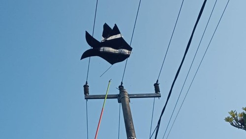 Layang-layang tersangkut di kabel listrik dan mengakibatkan pemadaman listrik di Kelurahan Pendem, Kecamatan Negara, Kabupaten Jembrana, Bali, beberapa waktu lalu.