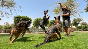 Mesir Rilis Aturan Kontroversial soal Anjing Peliharaan