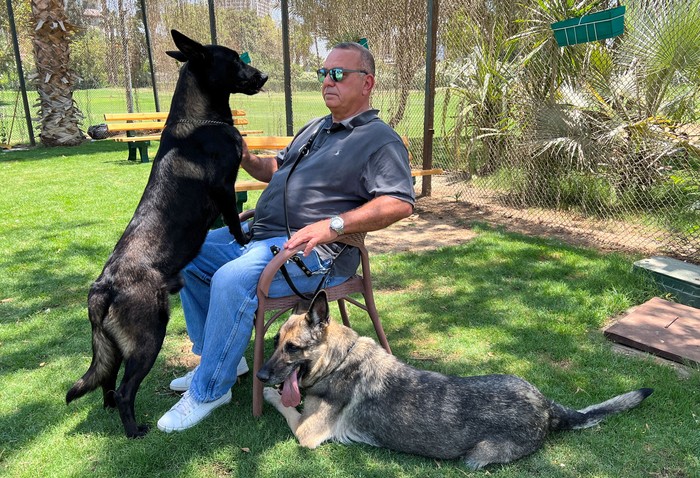 Seif Raafat, owner of German Shephard dog sprays water and plays with them at a garden in Cairo, Egypt, June 16, 2023. Owners of certain dog breeds in Egypt say they are devastated after the government passed a new law banning the ownership of certain breeds of dogs after an accident involving a Rottweiler killing an Egyptian last April. REUTERS/Ahmed Fahmy      TPX IMAGES OF THE DAY