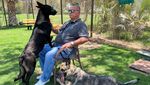 Mesir Rilis Aturan Kontroversial soal Anjing Peliharaan