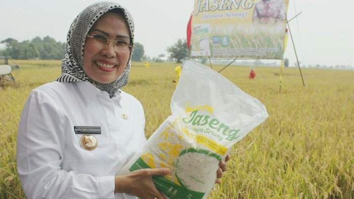 Pemkab Serang