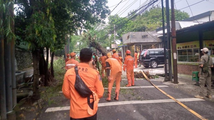 Pohon tumbang timpa kabel di Pejaten, Jakarta Selatan.