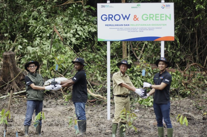 Program Grow and Green BRI